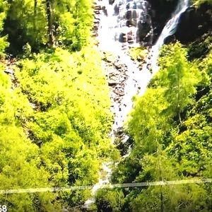 Meet your Posher, Pradeline